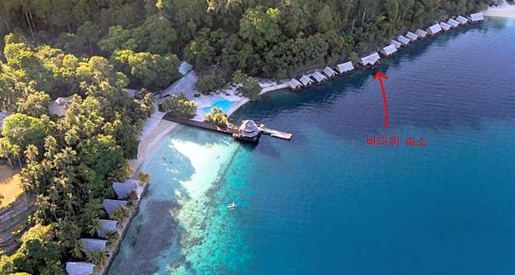 펄팜리조트다바오숙소