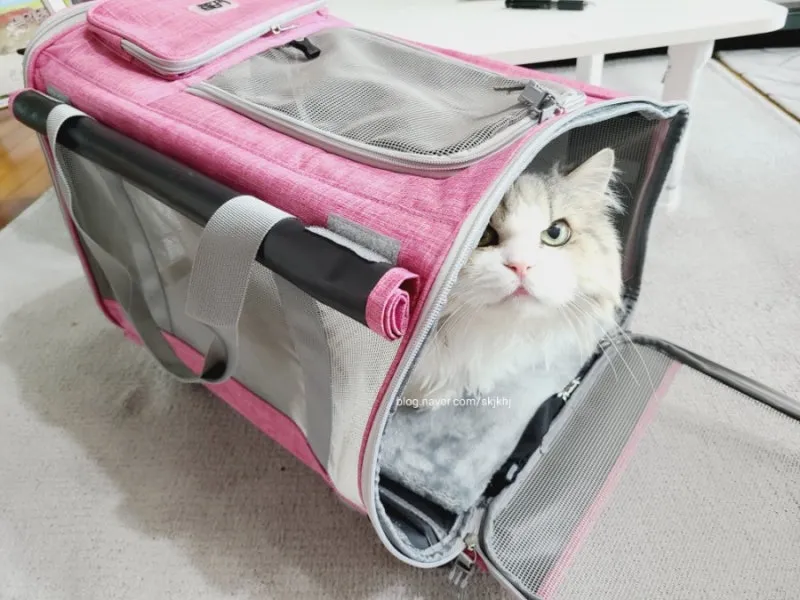 기내 반입 캐리어 사이즈 무게 총정리 완벽 가이드 매뉴얼_1