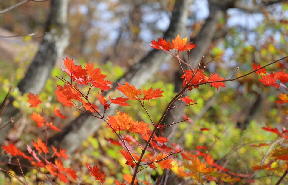 설악산