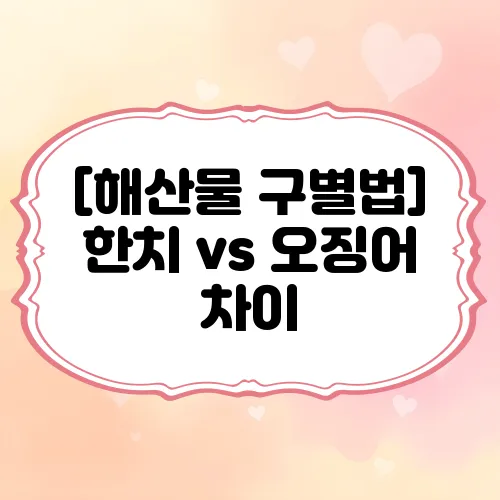 [해산물 구별법] 한치 vs 오징어 차이, 헷갈리는 분 필독!
