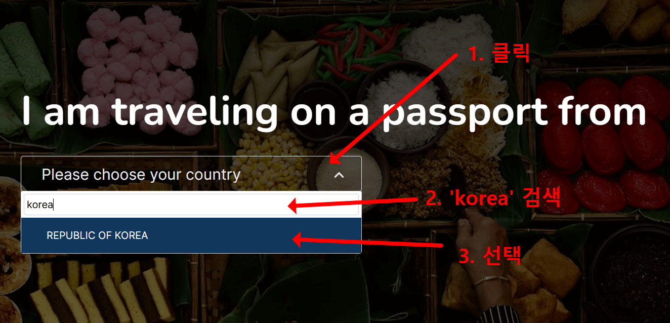 발리 여행 전자비자 발급절차2