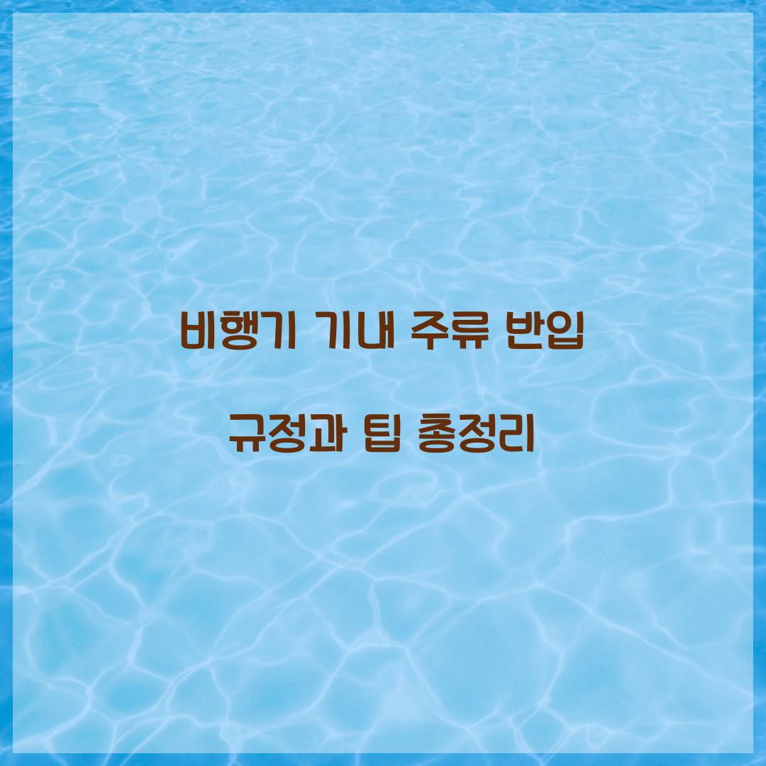 비행기 기내 주류 반입