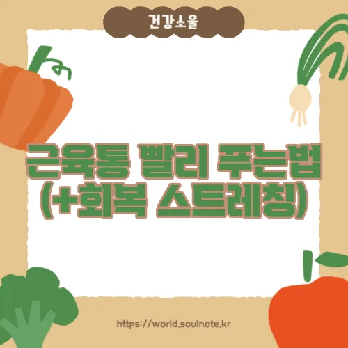 근육통 빨리 푸는법 (+회복 스트레칭)