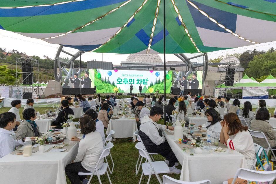 보성 다향대축제 2026