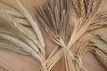 파로 효소 추천 순위 TOP 5 – 파로 효소 이 제품은 피하세요!