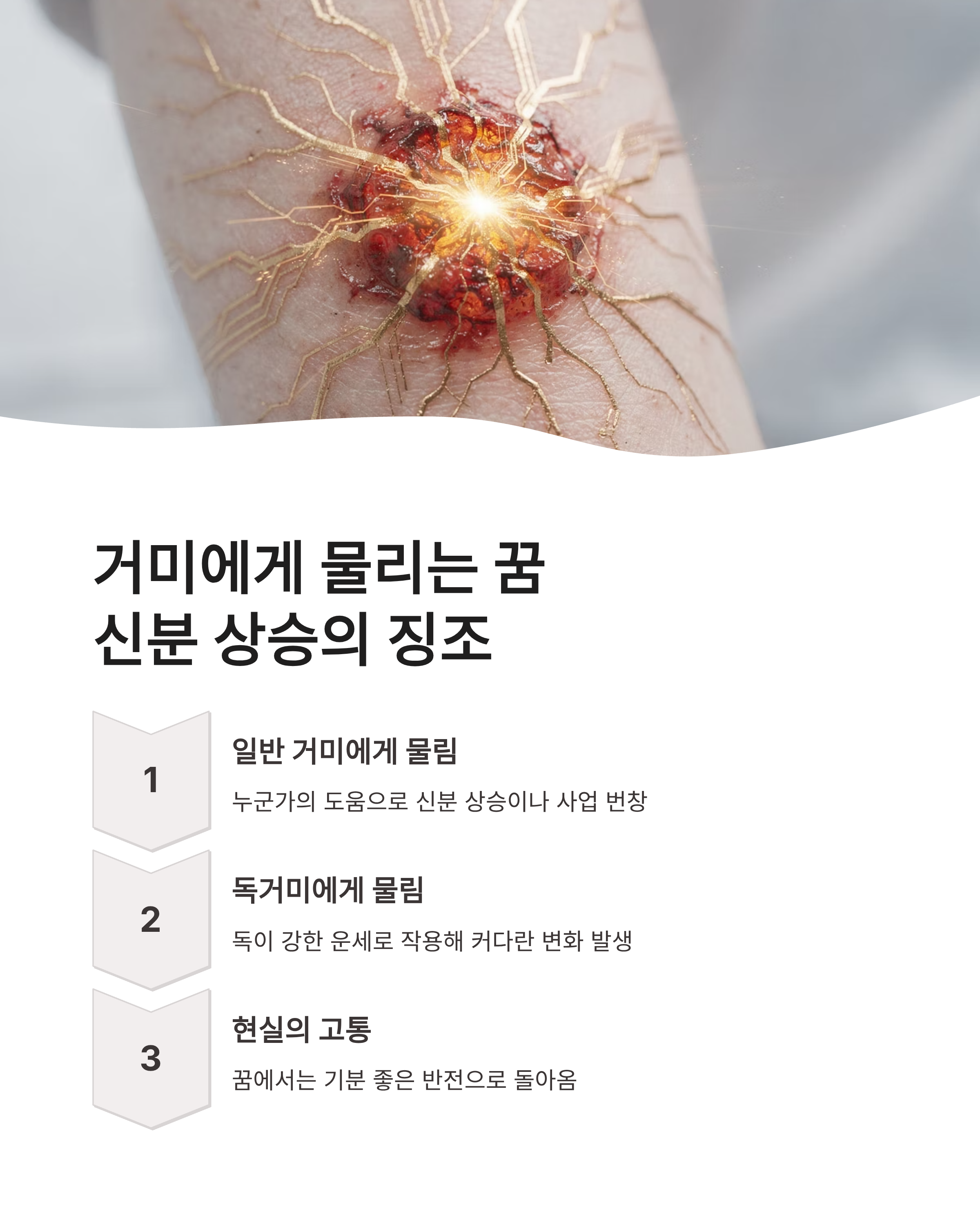 거미꿈 해몽 왕거미 흰거미 거미줄 상황별 완벽 풀이: 재물운과 태몽의 비밀