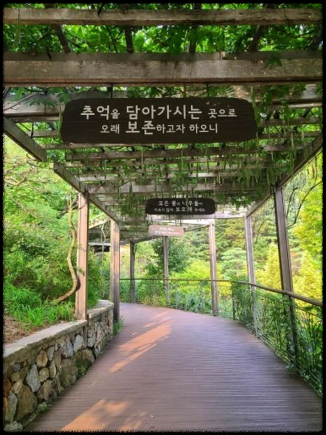화담숲 데이트 - 벚꽃 아래서 힐링 여행!