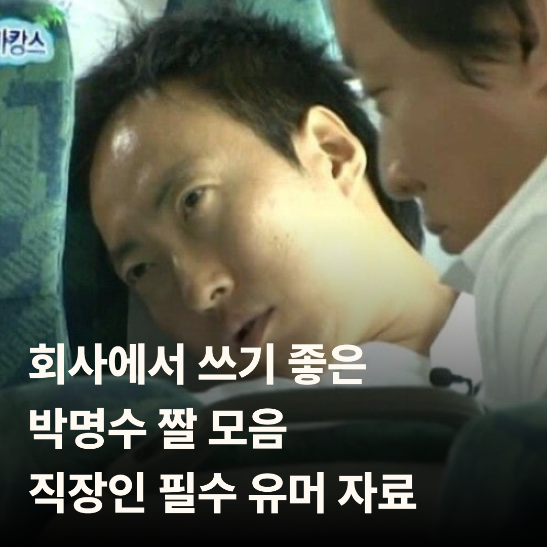 회사에서 쓰기 좋은 박명수 짤 모음 &ndash; 직장인 필수 유머 자료
