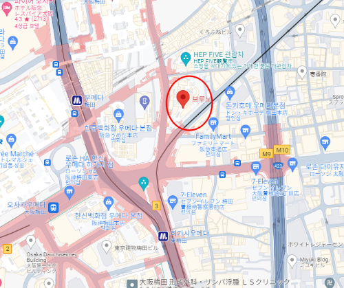 브루노 카레 지도