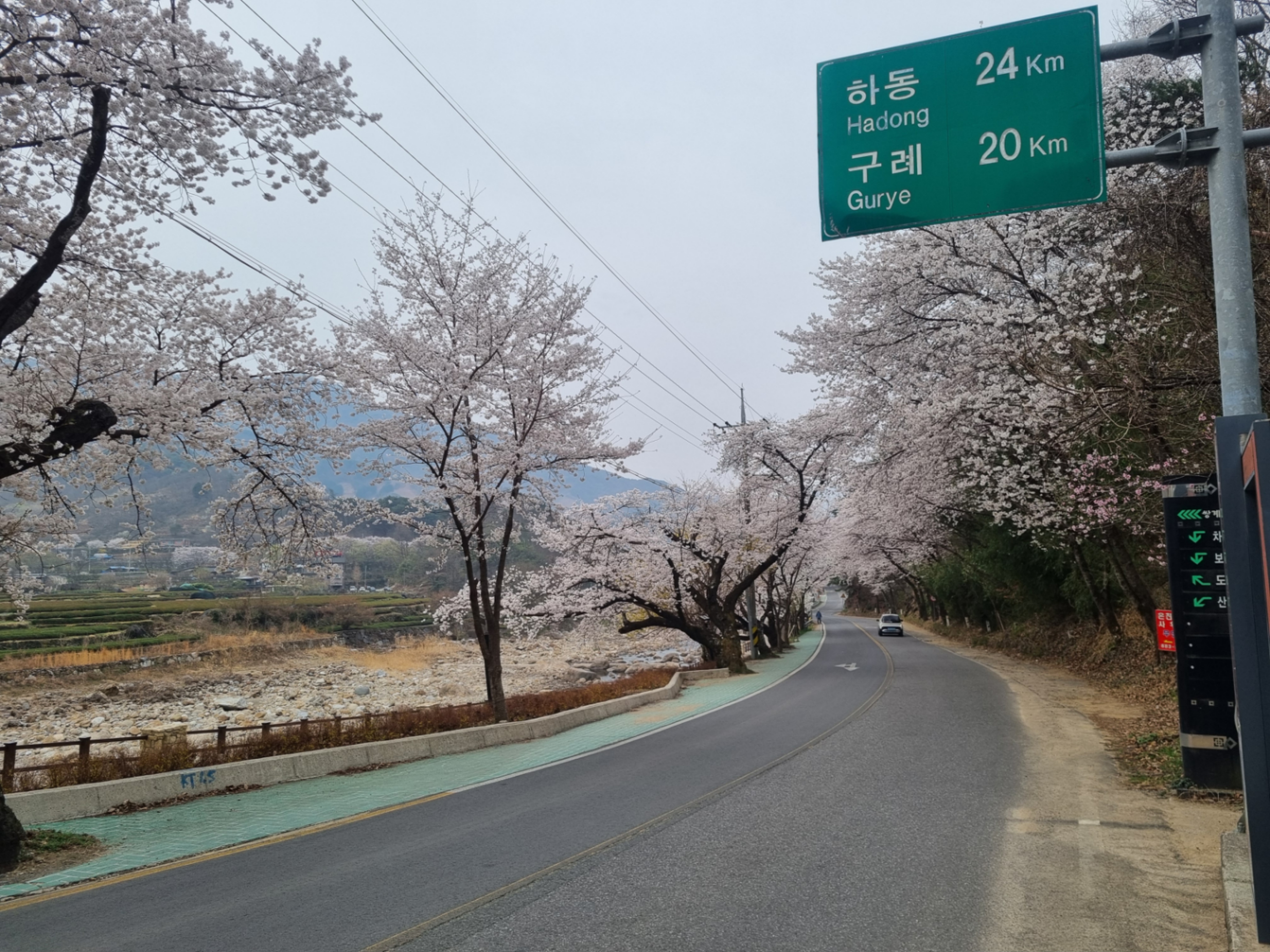 섬진강 벚꽃길 드라이브 풍경 사진 ('26.3)