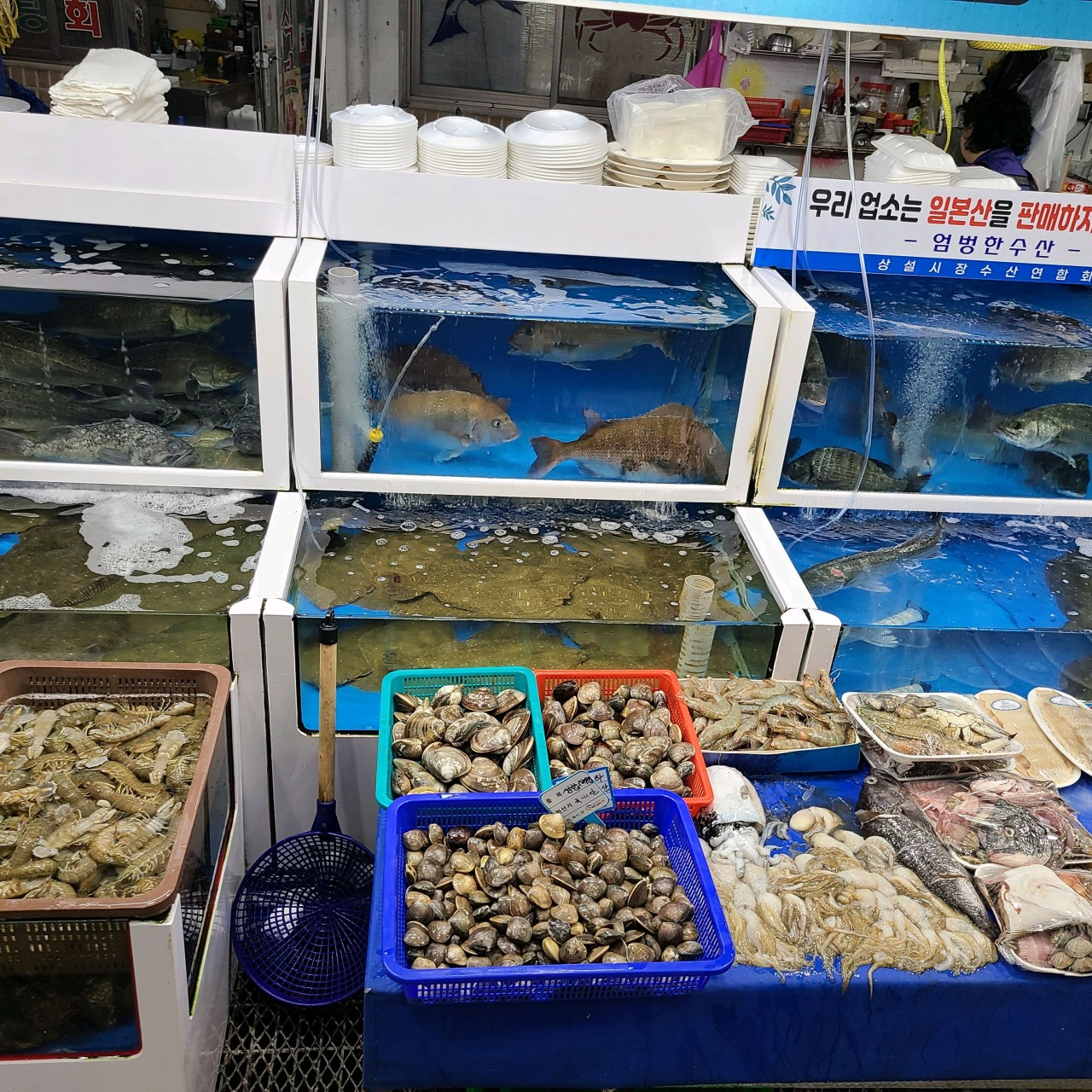 부안시장 돼지갈비 꽃게 갑오징어 구매