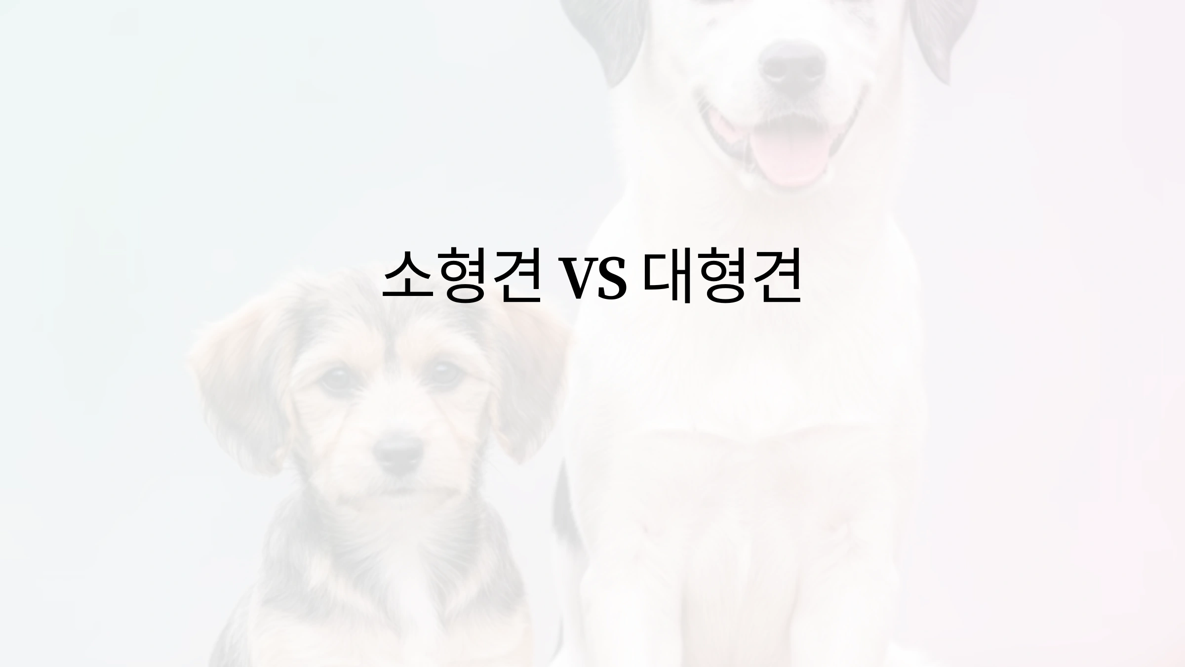소형견과 대형견의 차이점