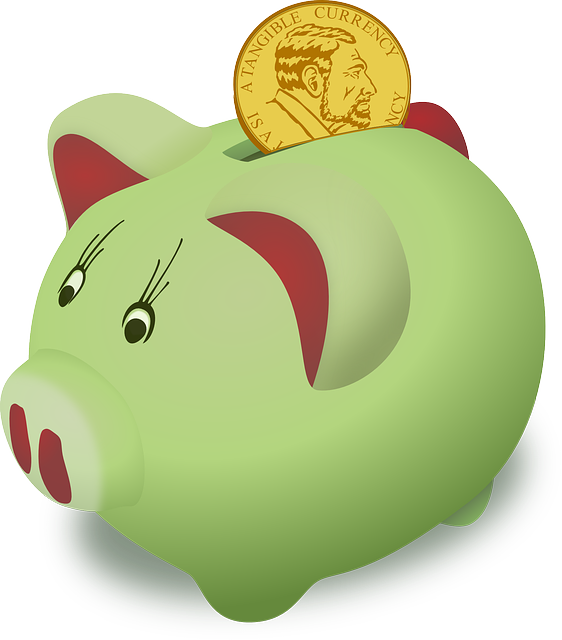 기초연금 노령연금 차이점