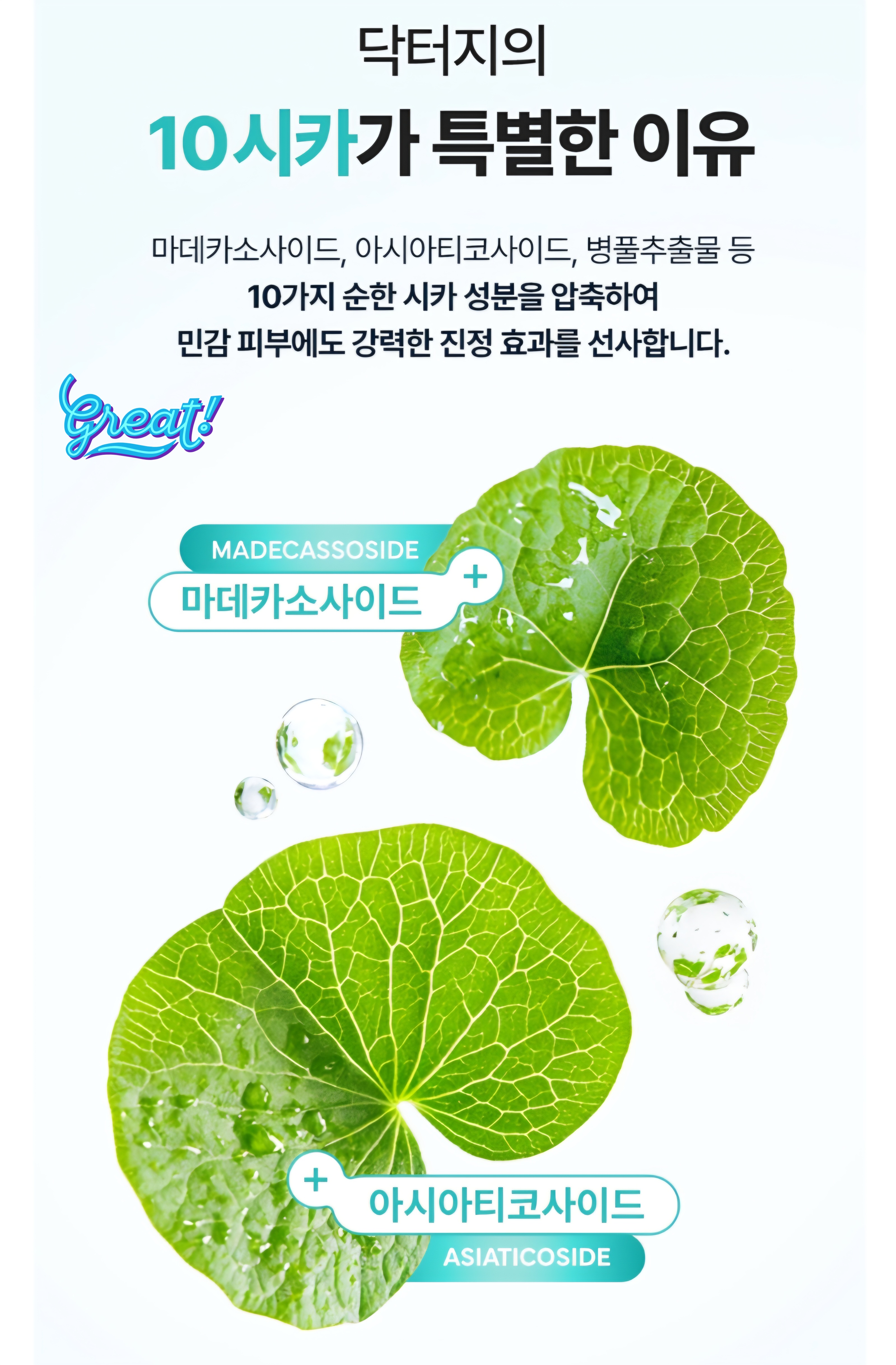 마데카소사이드, 아시아티코사이드 등 10가지 시카(CICA) 핵심 성분