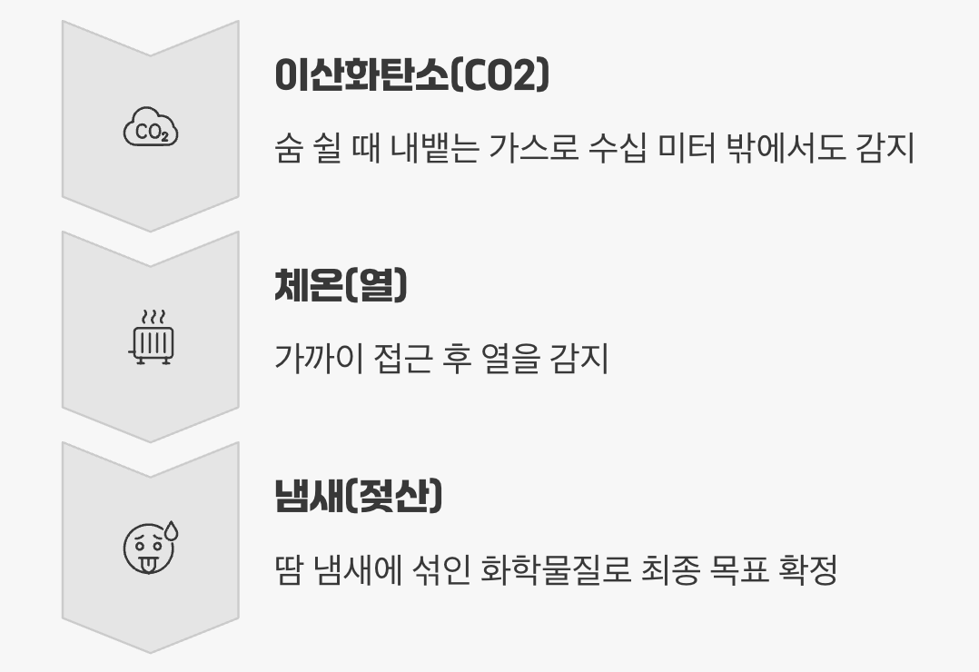 모기를 유혹하는 진짜 미끼, 이산화탄소