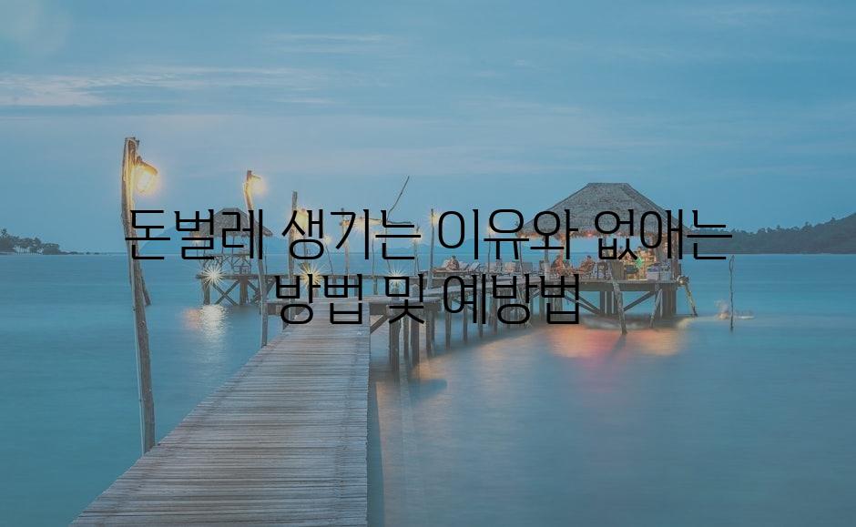 샘플 (78)