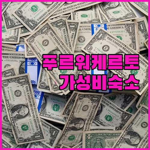 푸르워케르토 호텔 추천 가성비 숙소 ..