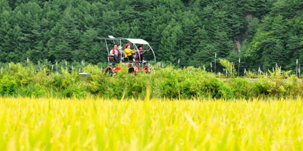 가을 바다 열차 여행 추천