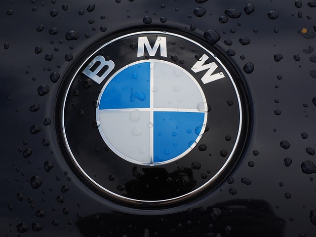 BMW 심볼