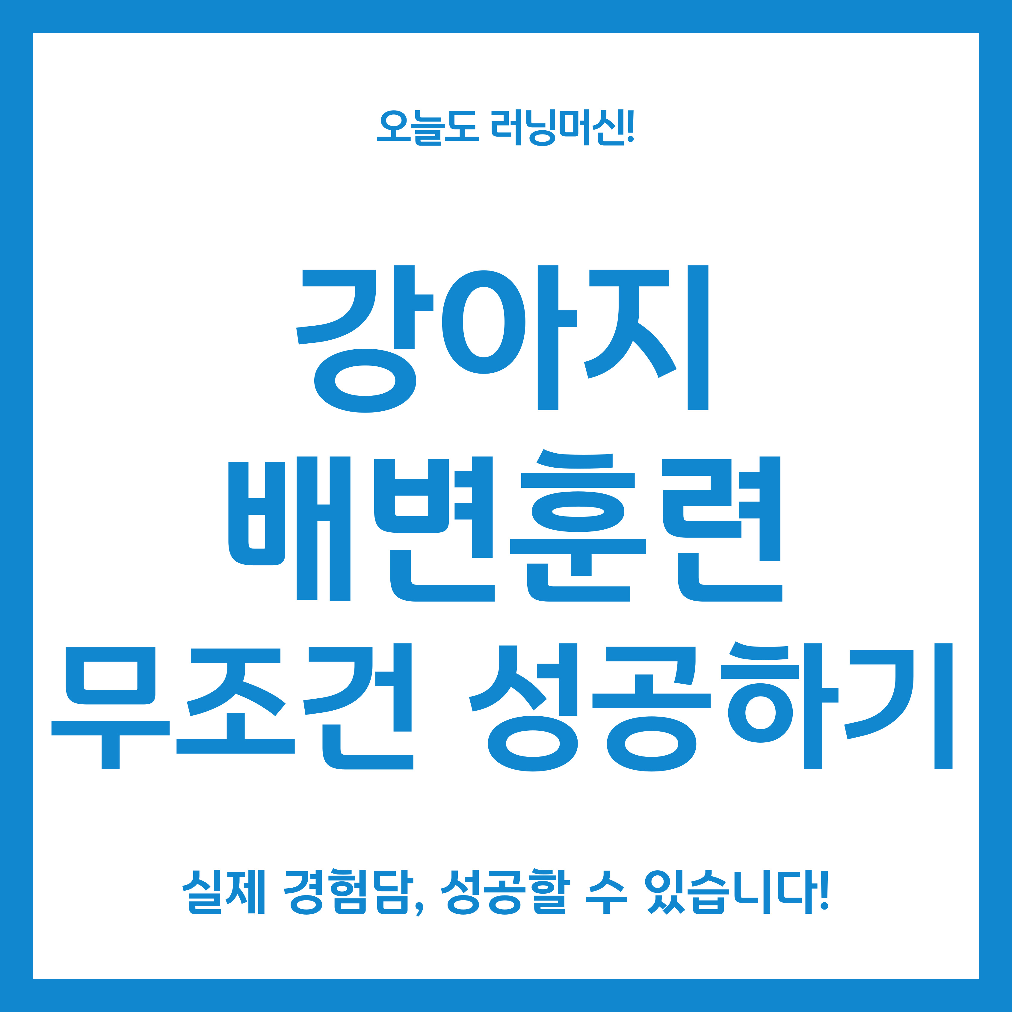 강아지 배변훈련 무조건 성공하기