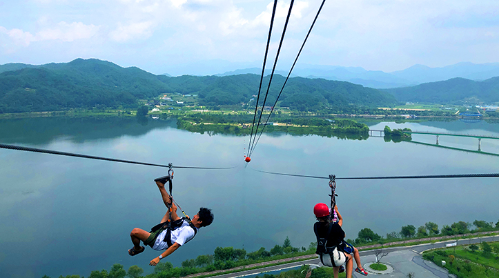 11월 지역 축제 강원 세종 대전 가을 축제