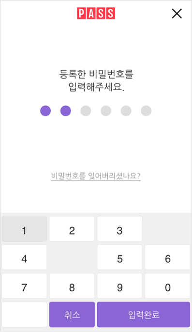 PASS 인증 화면