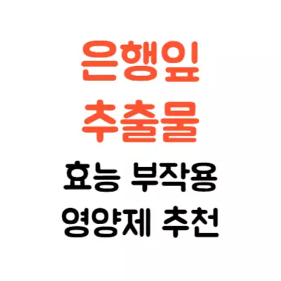 은행잎추출물 효능 부작용 영양제 알아보기