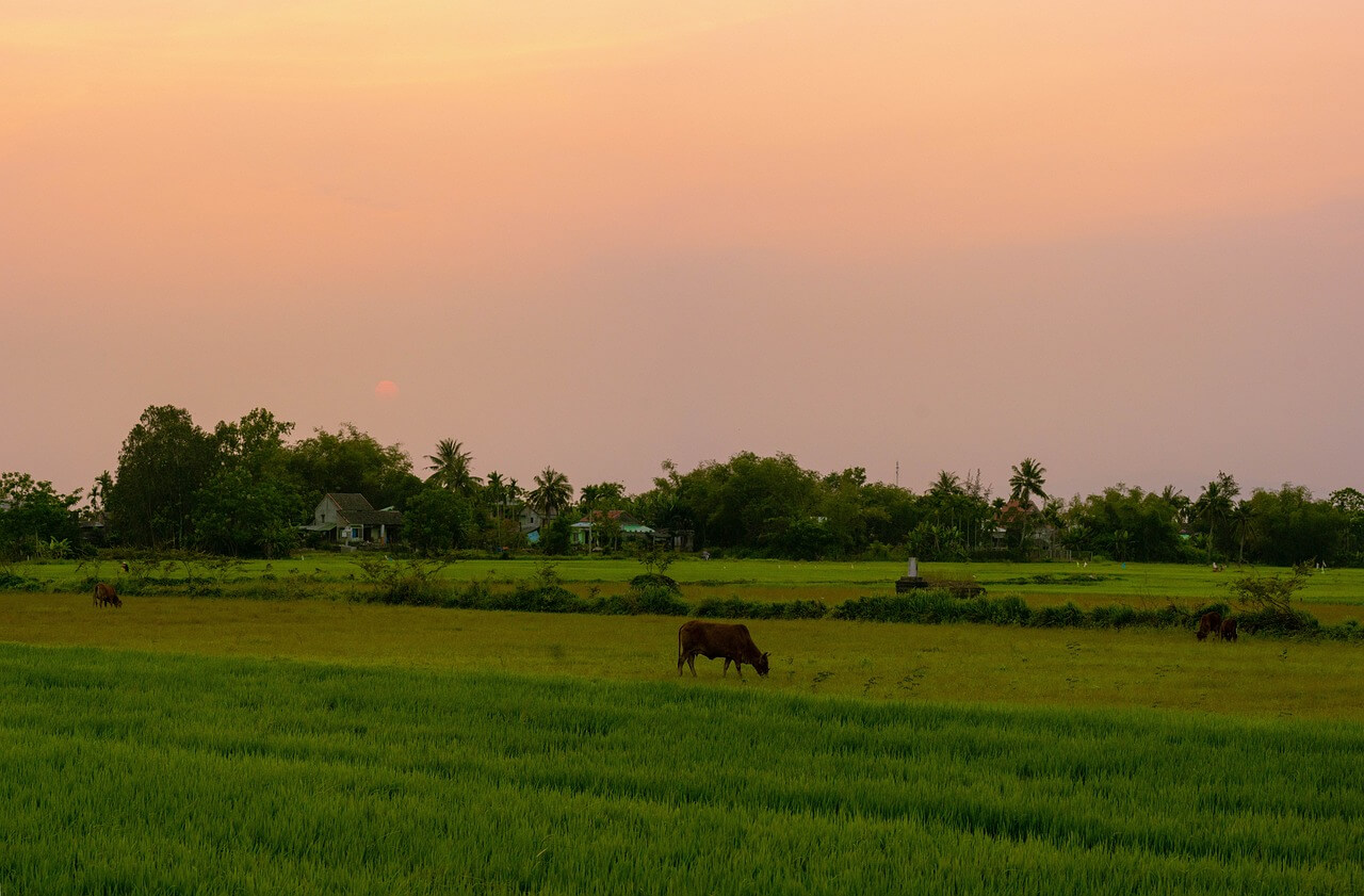 고향사랑기부제 세액공제