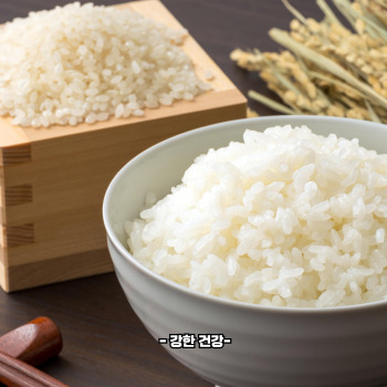 바나듐 쌀 부작용