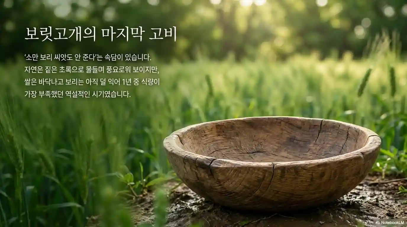 소만 보릿고개의 마지막 고비