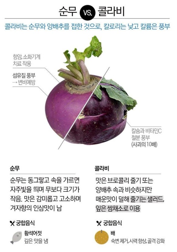 콜라비 효능