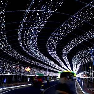 무주 반딧불이 축제 2025 – 자연 속에서 빛나는 감동 여행! 관련 사진