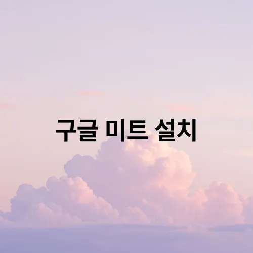 구글 미트 설치