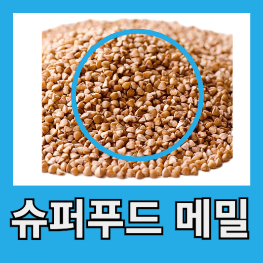 "다양한 효능을 가진 메밀"