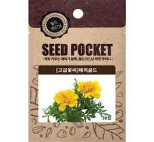 [해피플라워] 눈 건강 꽃차 만들기 메리골드 프렌치 씨앗 300립 / 봄 여름 파종 꽃씨&#44; 1개