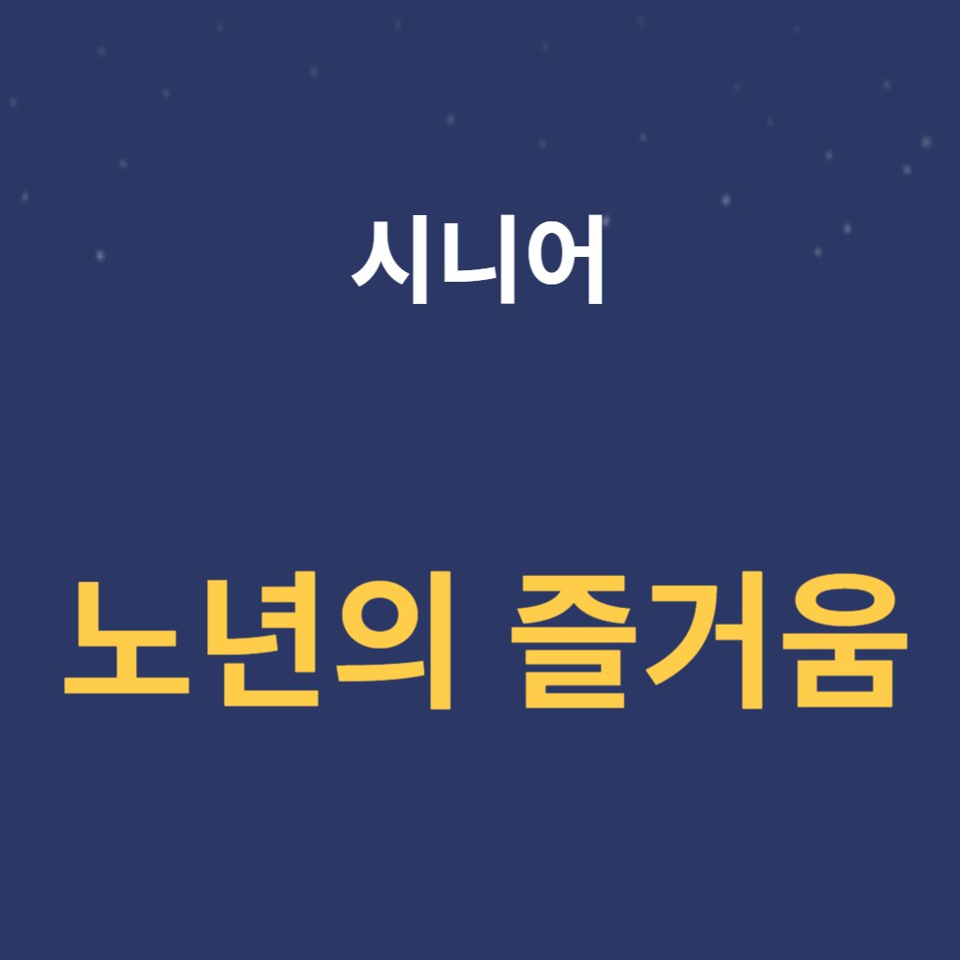 노년의 즐거움: 60대 남성 브이로그 운영 비법