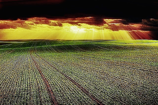 2024년 공익직불금 의무 교육 신청방법