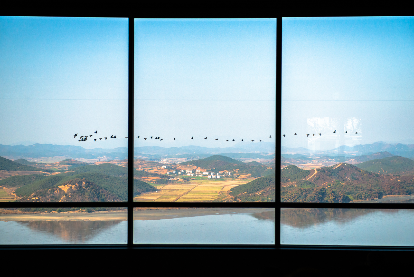 애기봉 전망대 가마우지떼