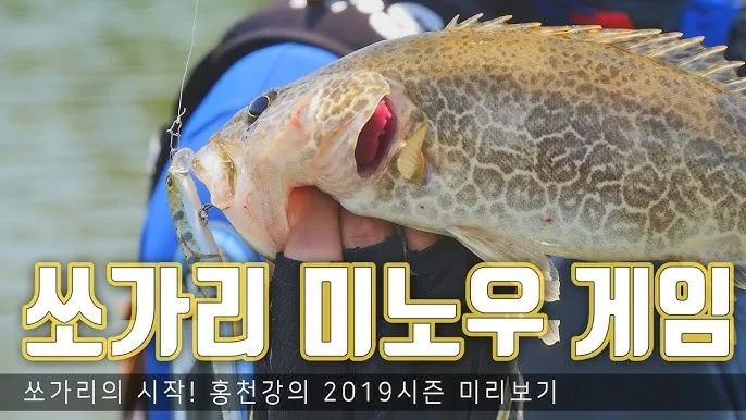 낚시 필드 테크닉 강풍 파도 입질 대응 채비 운영법_2