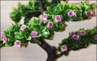 고목에 꽃이 피는 꿈