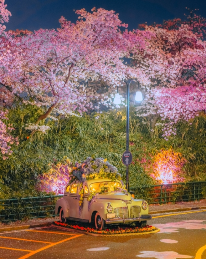 대구 이월드 블라썸 피크닉 벚꽃 축제