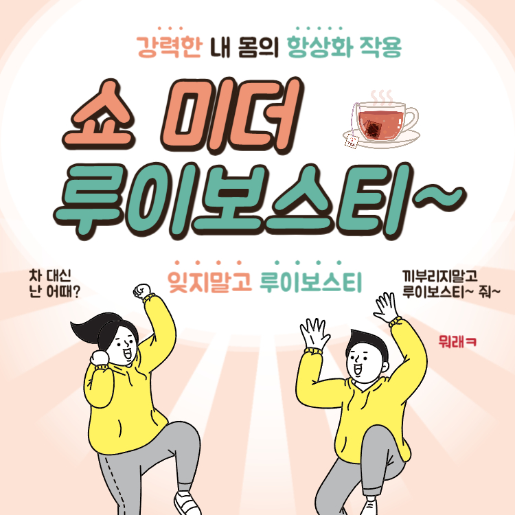 루이보스티 효능 부작용 카페인 완벽정리(+루이보스티차 효능 먹는법)