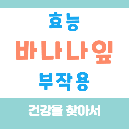 바나나 잎 효능