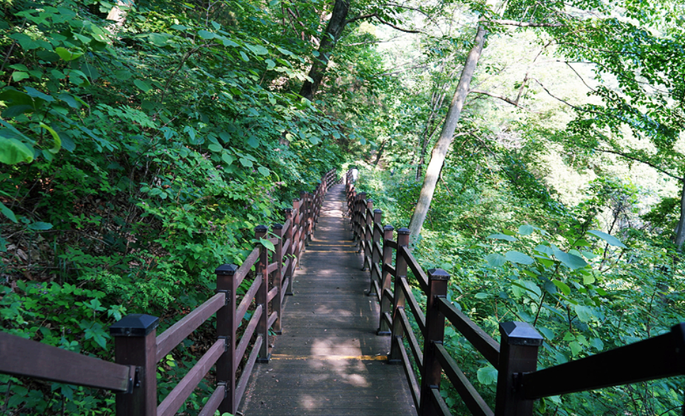 국립 제천 치유의 숲