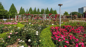 고양국제꽃박람회