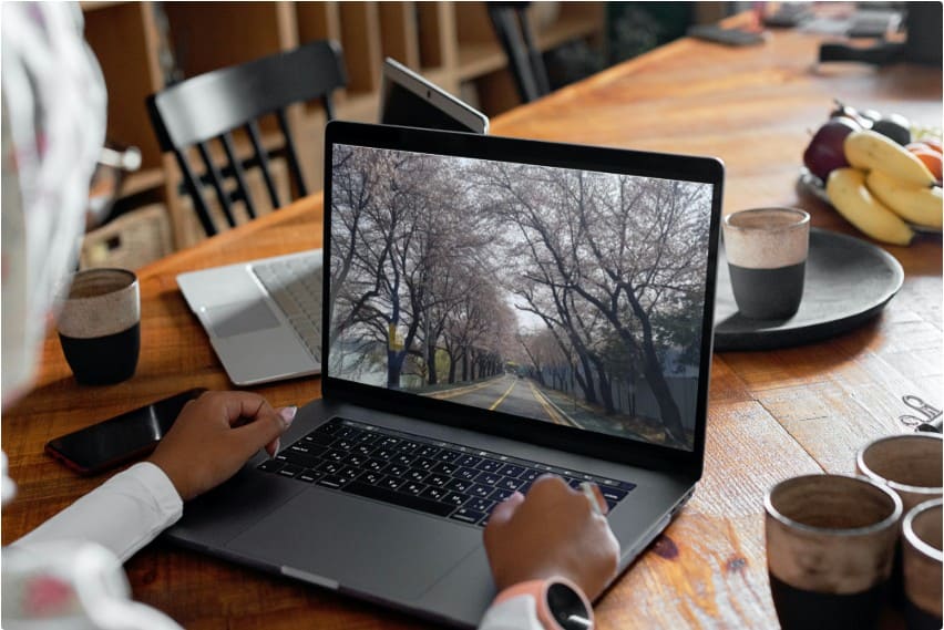 전주-천변-벚꽃