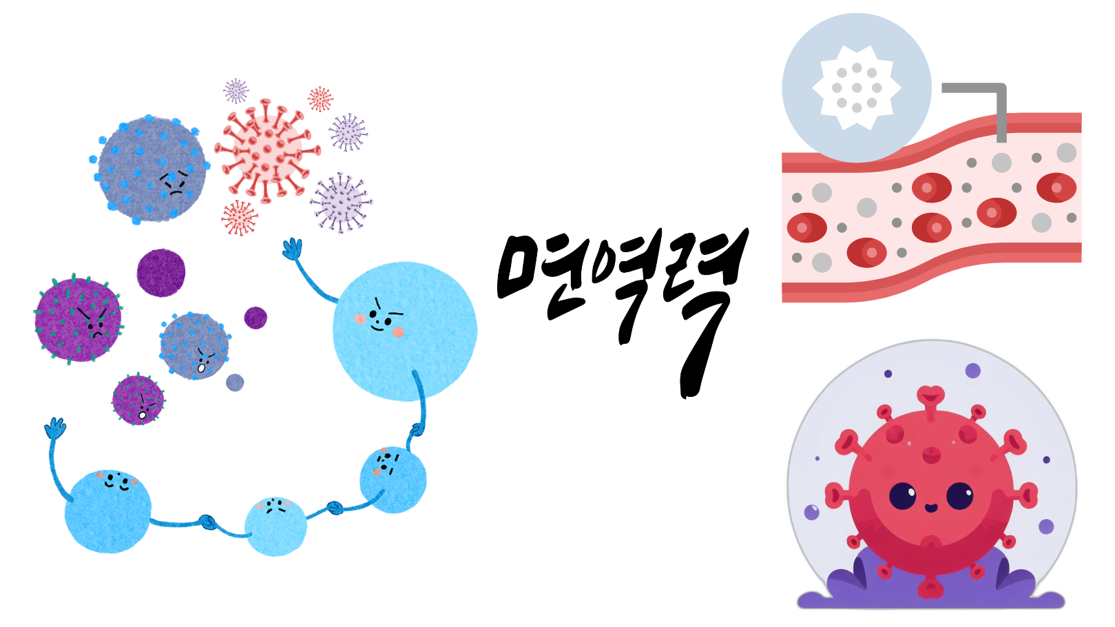 바이러스 세균 퇴치는 백혈구가 하는 사진