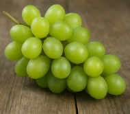 포도 종류