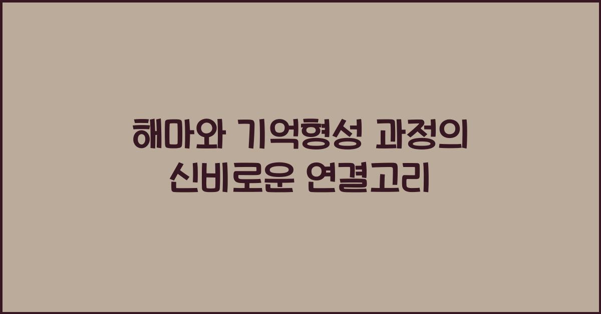 해마, 기억형성 과정