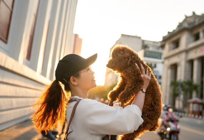 반려견과 함께 떠나는 최고의 여행지 추천! 한국 포함 해외 반려견 동반 여행지